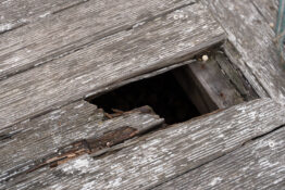 Damaged Wooden Floor