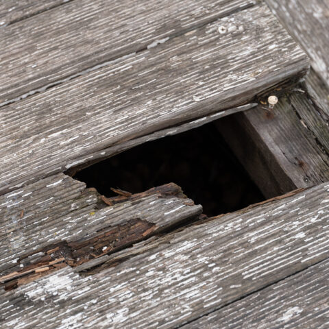 Damaged Wooden Floor